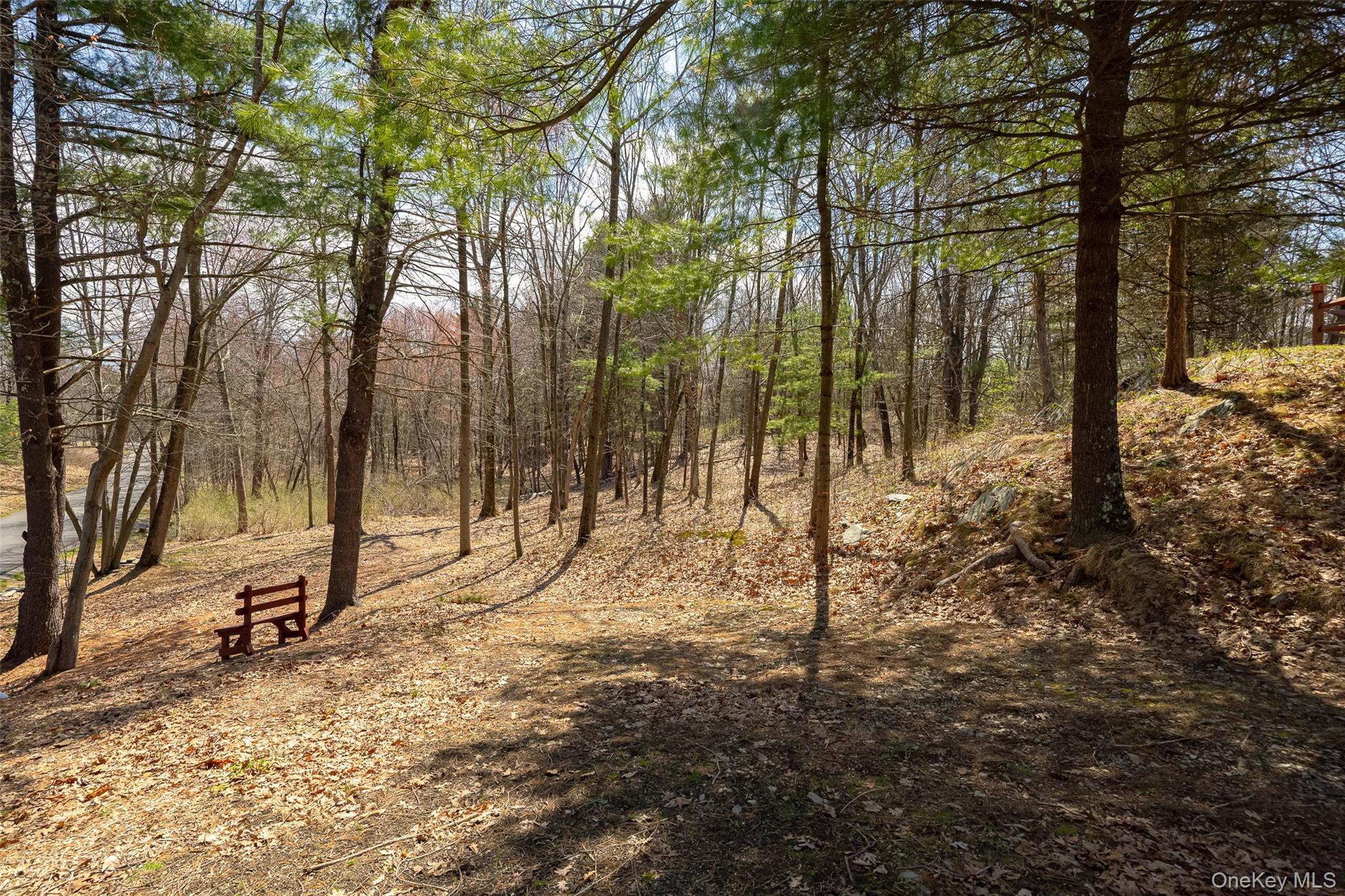 119 Becker Hill Road Red Hook, NY 12571 - Photo 9 of 43