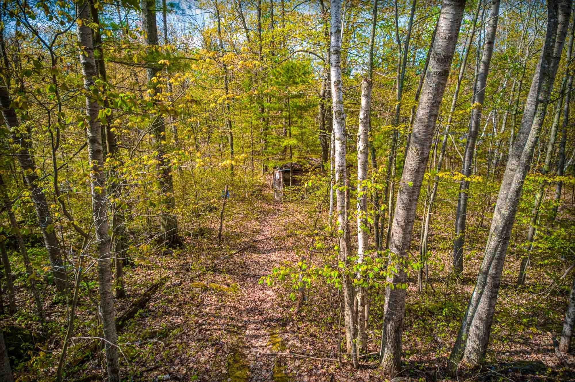 3853 Vets Memorial Drive Rhinelander, WI 54501 - Photo 9 of 19 Gallery Image 9
