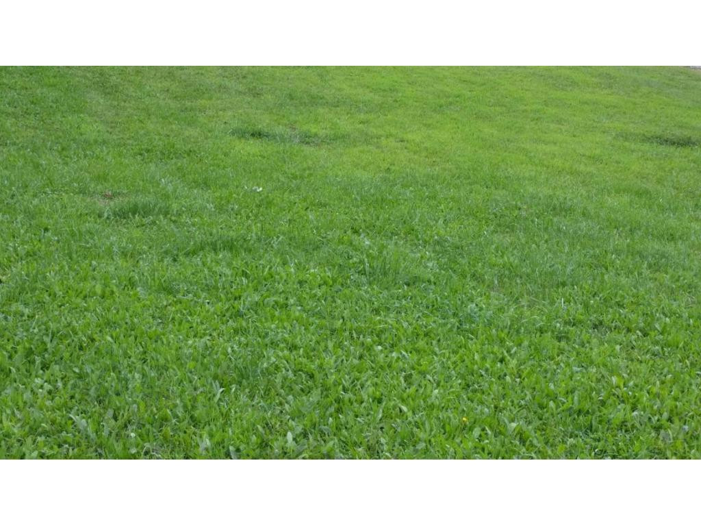 1439 South Side Road Elizabethton, TN 37643 - Photo 7 of 7 Photo 7