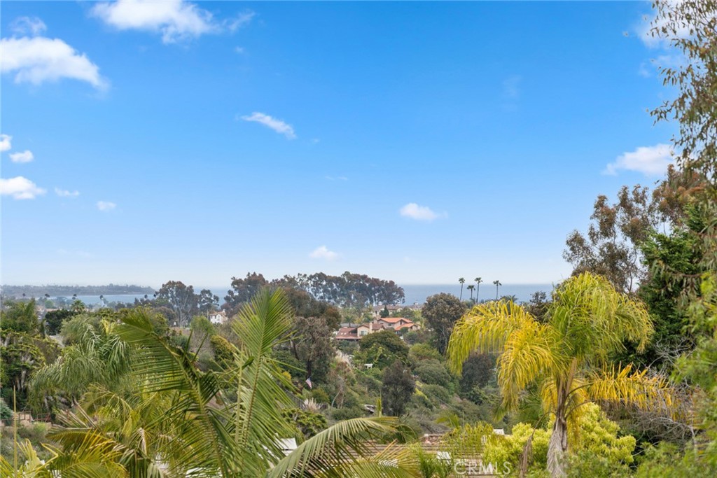 33046 Ocean Ridge Dana Point, CA 92629 - Photo 1 of 1 Beautiful coastline and canyon views.
