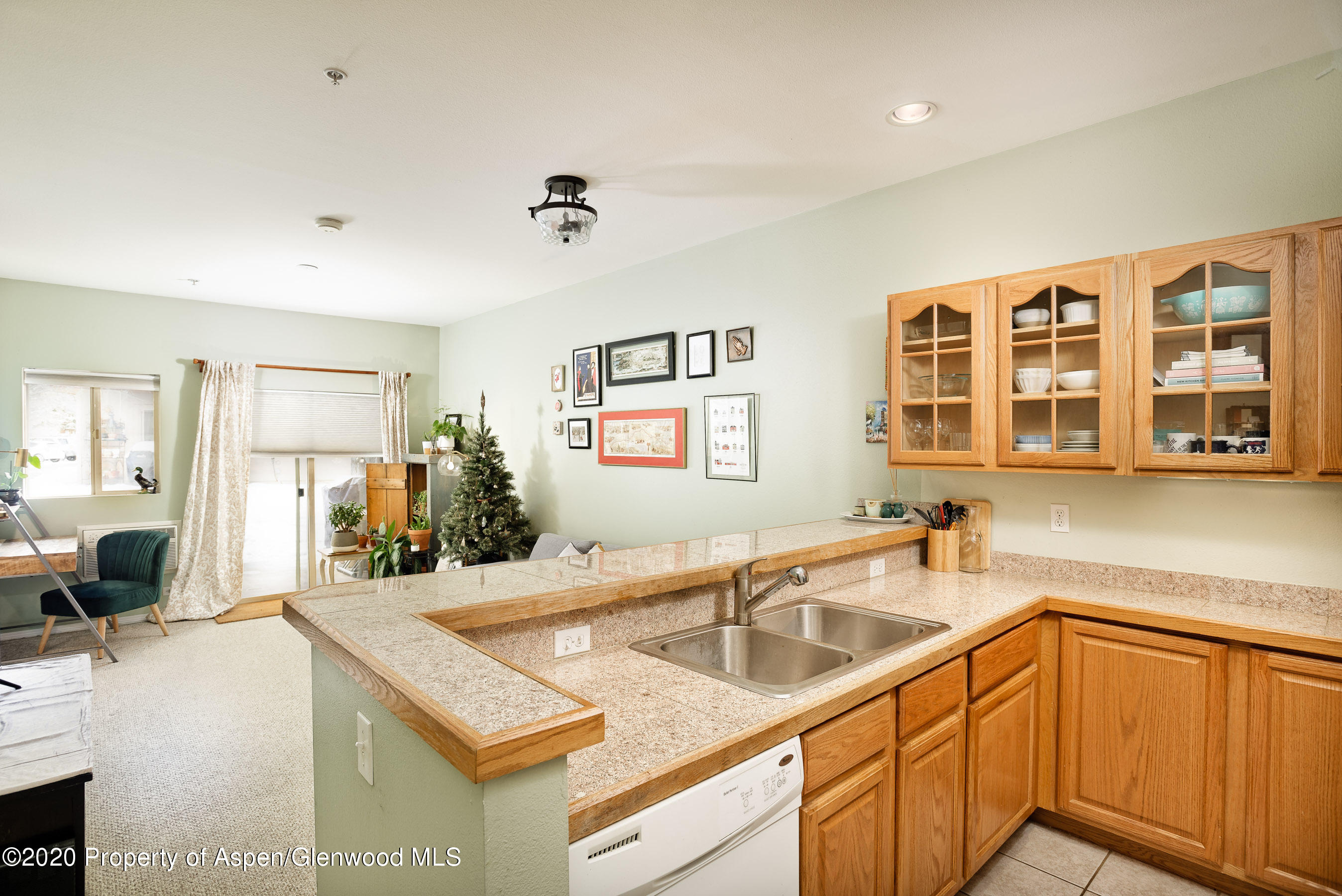 1400 East Valley Road, Unit 112 Basalt, CO 81621 - Photo 8 of 19 1400EValleyRd#112_DASH_20121807