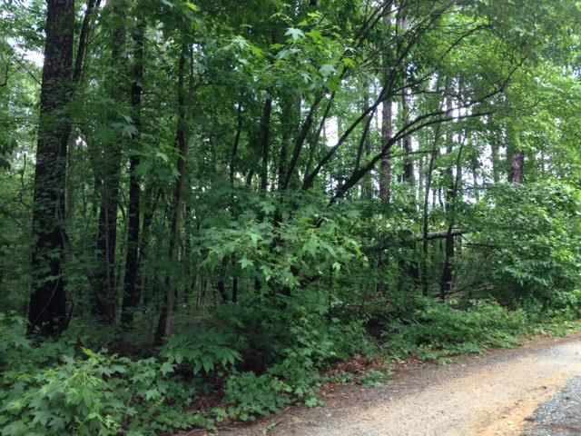 Tbd Tbd Pleasant Ridge Road Carthage, NC 28327 - Photo 2 of 5 Additional Photo