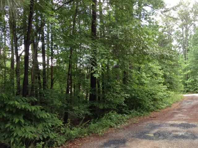 Tbd Tbd Pleasant Ridge Road Carthage, NC 28327 - Photo 3 of 5 Additional Photo