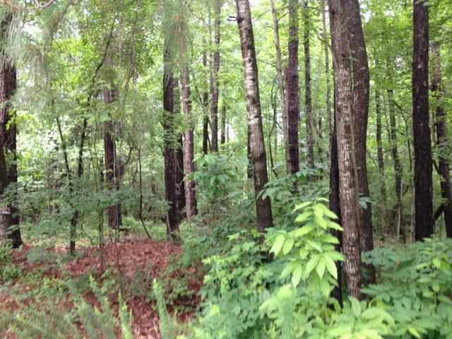 Tbd Tbd Pleasant Ridge Road Carthage, NC 28327 - Photo 4 of 5 Additional Photo