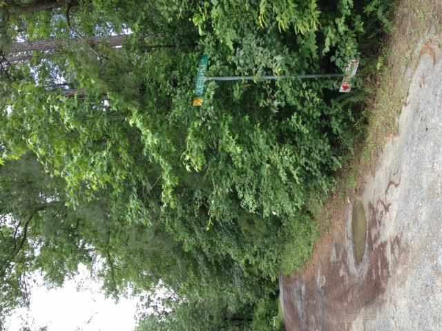 Tbd Tbd Pleasant Ridge Road Carthage, NC 28327 - Photo 5 of 5 Additional Photo