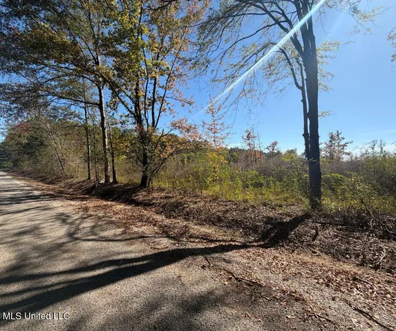 $81,090 | 0 County Road 7, Hickory Flat, MS 38633