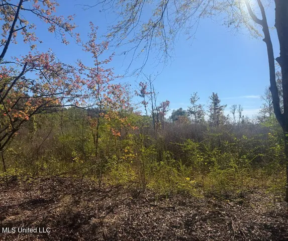 $81,090 | 0 County Road 7, Hickory Flat, MS 38633