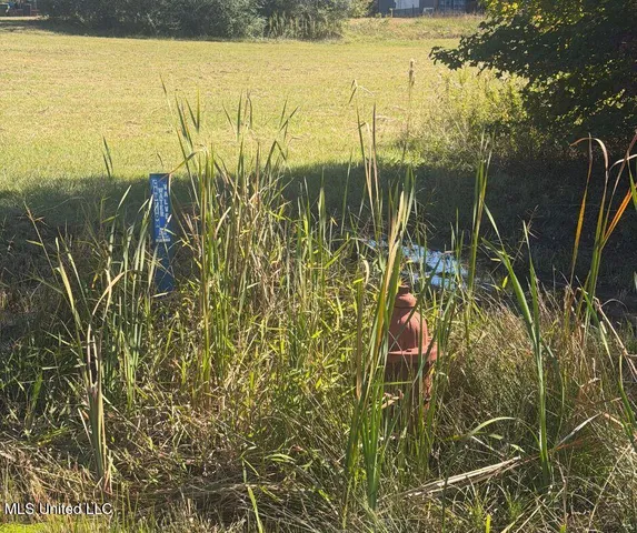 $81,090 | 0 County Road 7, Hickory Flat, MS 38633