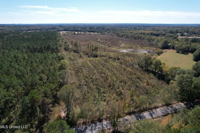 $81,090 | 0 County Road 7, Hickory Flat, MS 38633