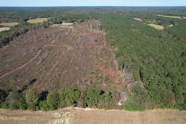 $81,090 | 0 County Road 7, Hickory Flat, MS 38633