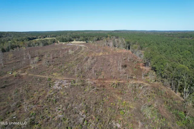$81,090 | 0 County Road 7, Hickory Flat, MS 38633