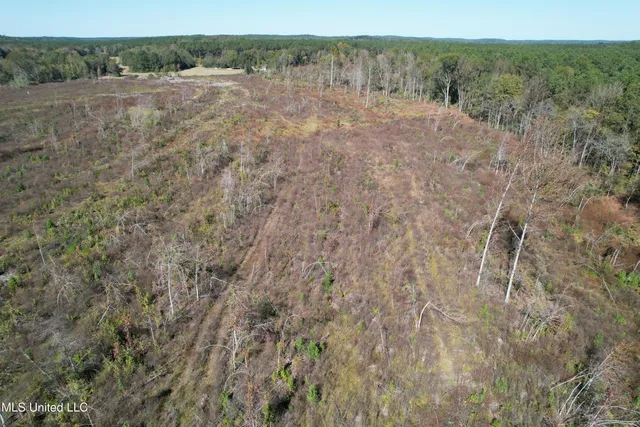 $81,090 | 0 County Road 7, Hickory Flat, MS 38633