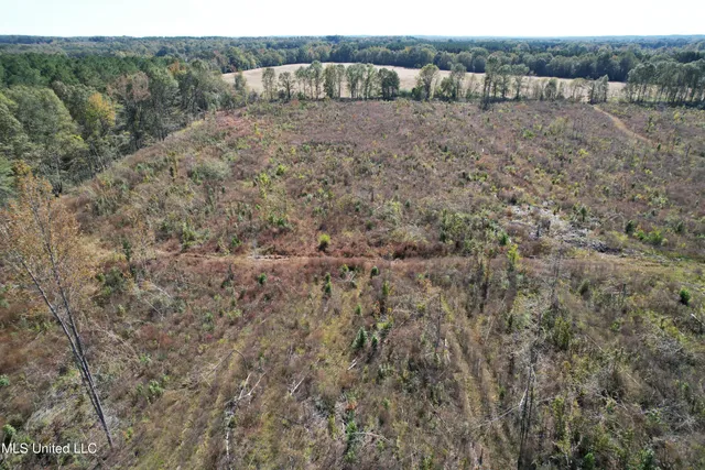 $81,090 | 0 County Road 7, Hickory Flat, MS 38633