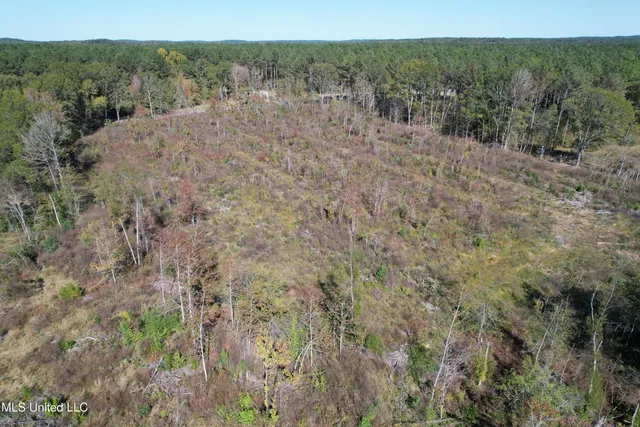 $81,090 | 0 County Road 7, Hickory Flat, MS 38633