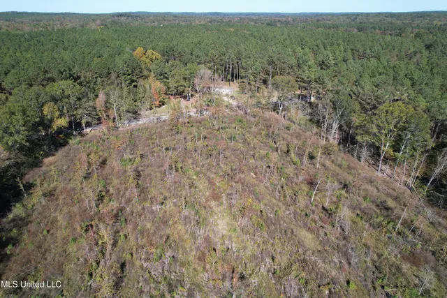 $81,090 | 0 County Road 7, Hickory Flat, MS 38633
