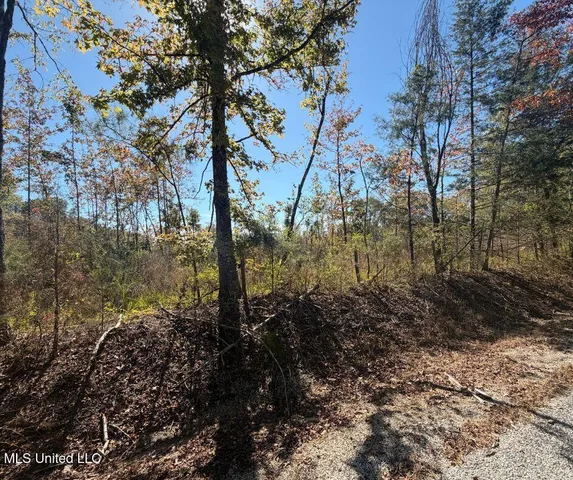 $81,090 | 0 County Road 7, Hickory Flat, MS 38633