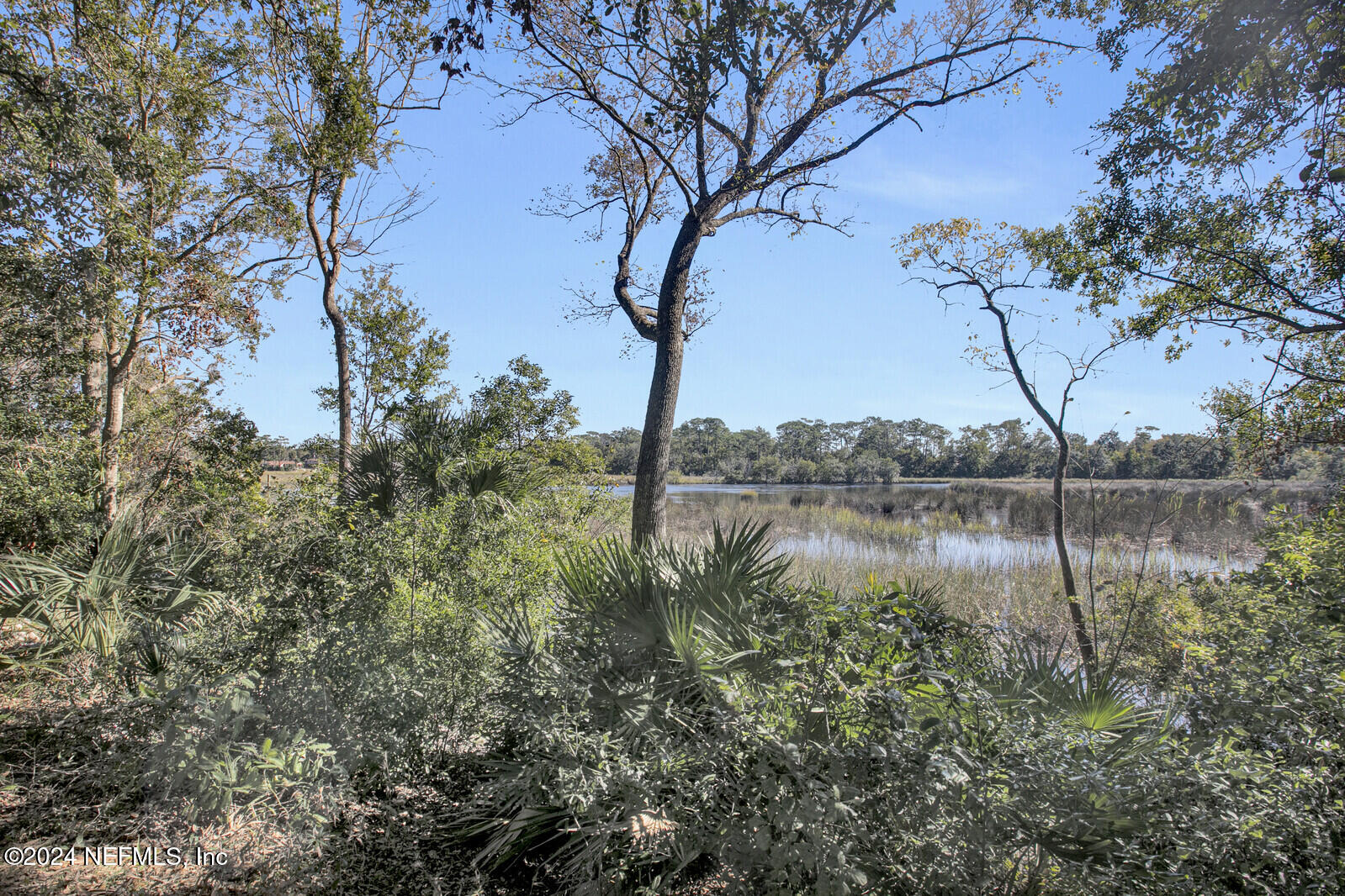 4224 Harbor View Drive Jacksonville, FL 32208 - Photo 27 of 27 31_IMG_0031 (1)_mls
