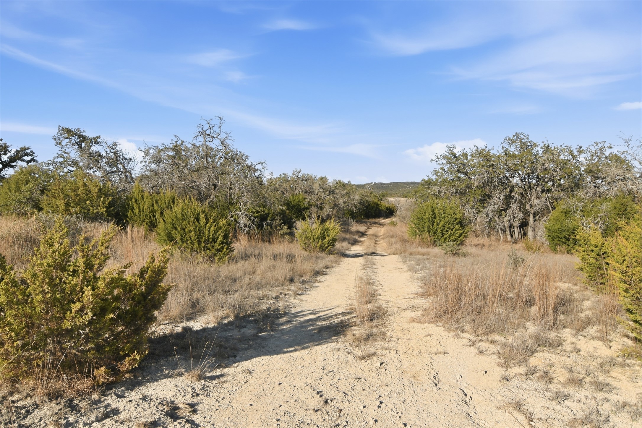 Tbd Peaceful Valley Road Bandera, TX 78003 - Photo 7 of 15 a view of a yard with a tree