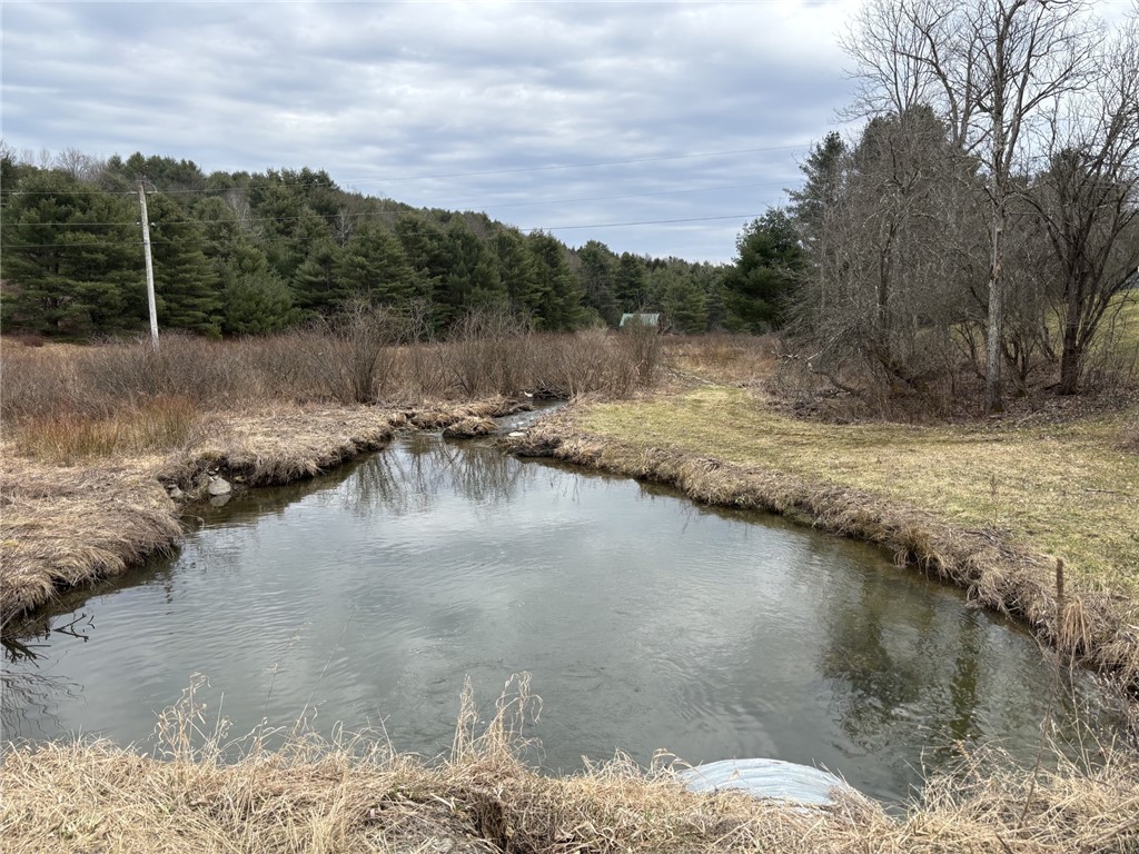172 Hawks Road Pittsfield, NY 13411 - Photo 45 of 45 pond with fish