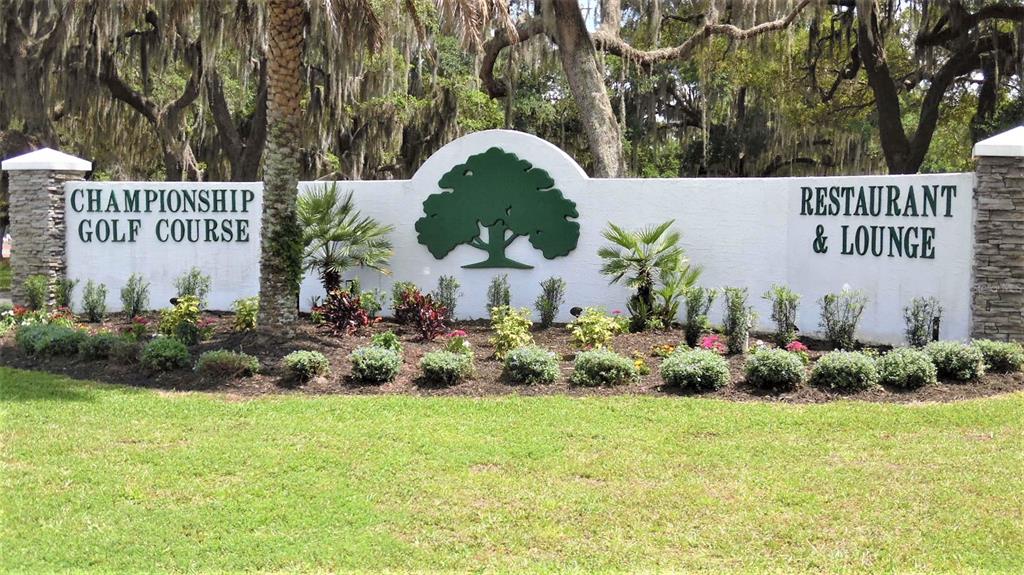 8 South Bobwhite Road Wildwood, FL 34785 - Photo 32 of 38