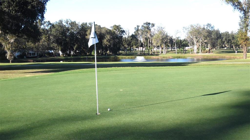 8 South Bobwhite Road Wildwood, FL 34785 - Photo 36 of 38