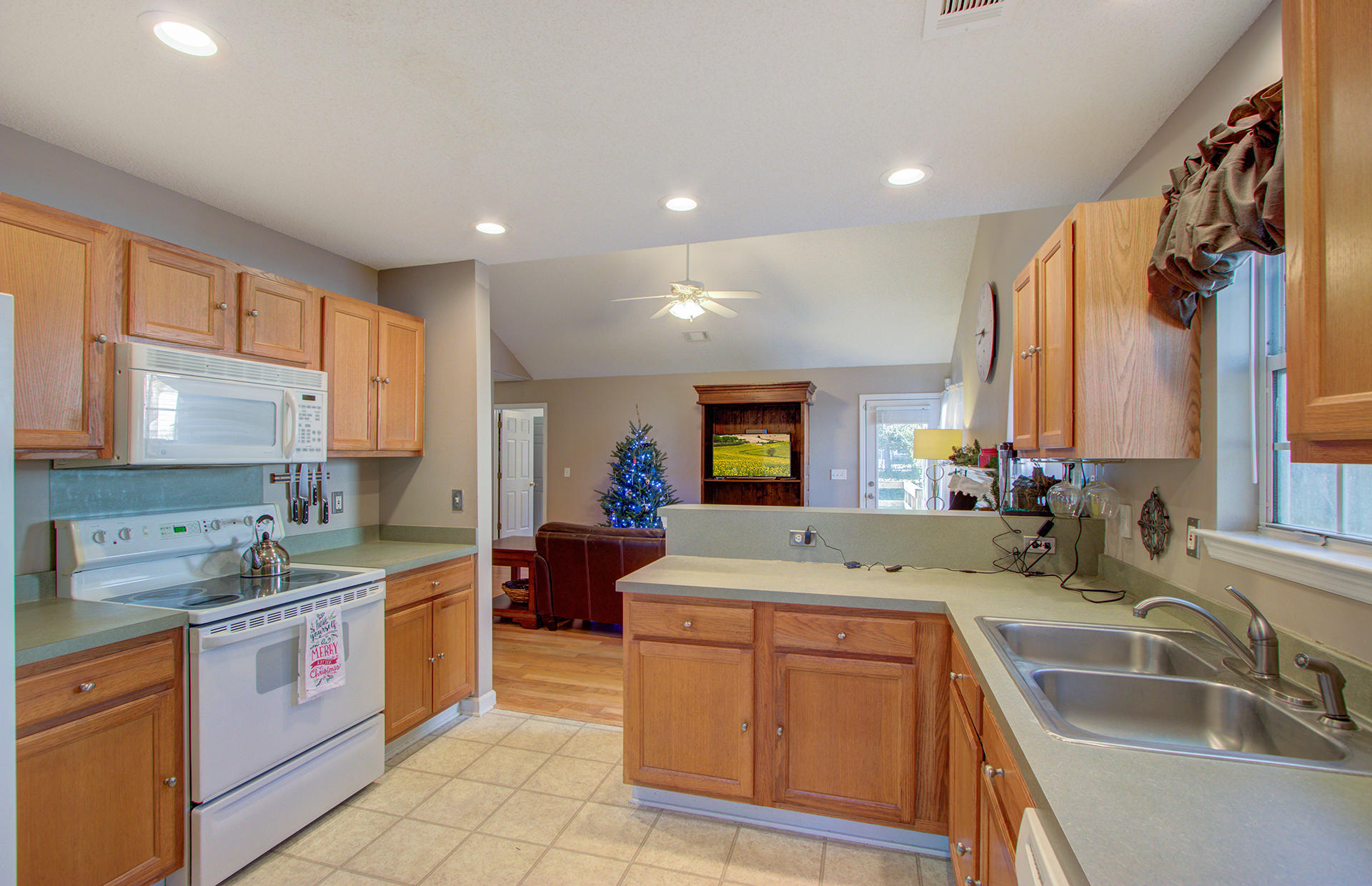 1074 Farmington Road Charleston, SC 29412 - Photo 7 of 25 Topher-1074 Farmington Road-MJ (9)