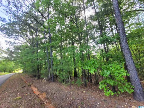 $42,000 | 0 Howells Cove Road, Unit 1, Lincoln, AL 35096