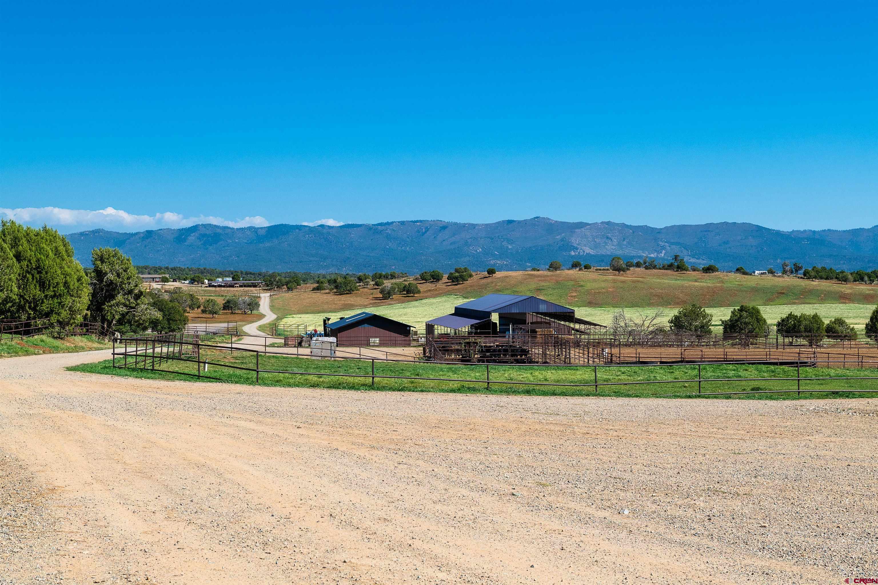 543 Silver Hills Road Bayfield, CO 81122 - Photo 21 of 29