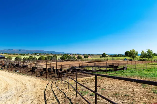 $3,250,000 | 543 Silver Hills Road, Bayfield, CO 81122