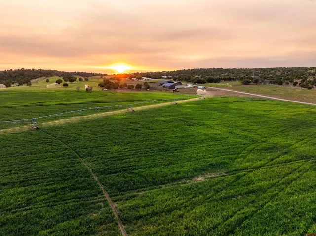 $3,250,000 | 543 Silver Hills Road, Bayfield, CO 81122