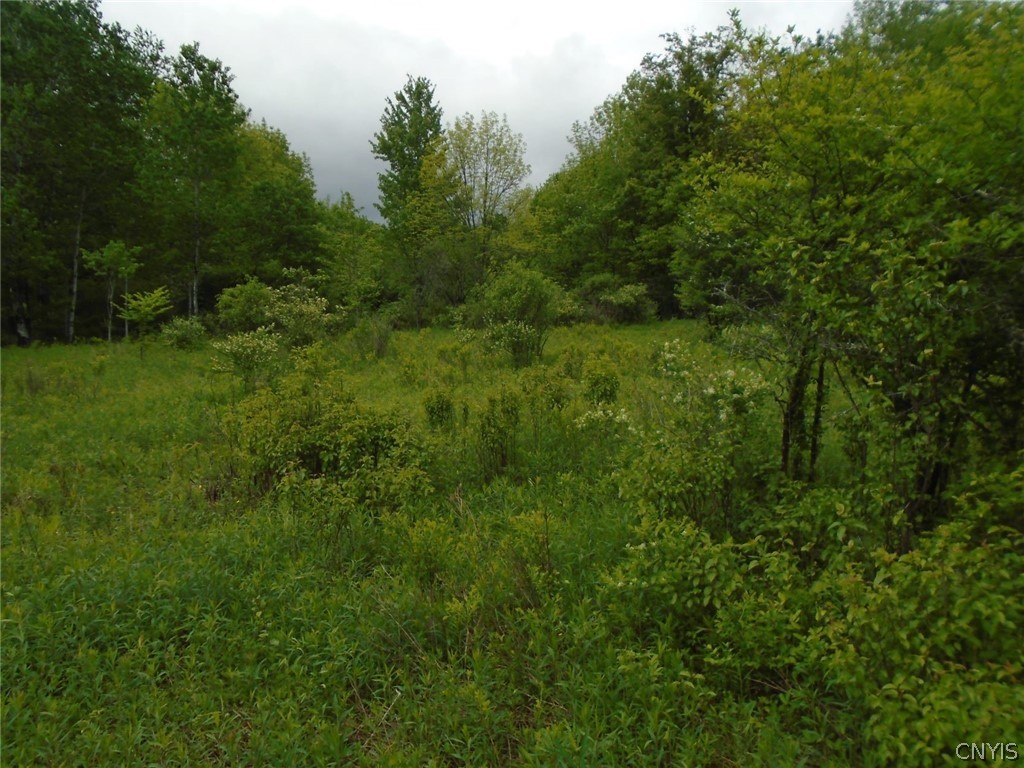 Lot B Pitcher Hill Road Pitcher, NY 13136 - Photo 6 of 29 Gallery Image 6