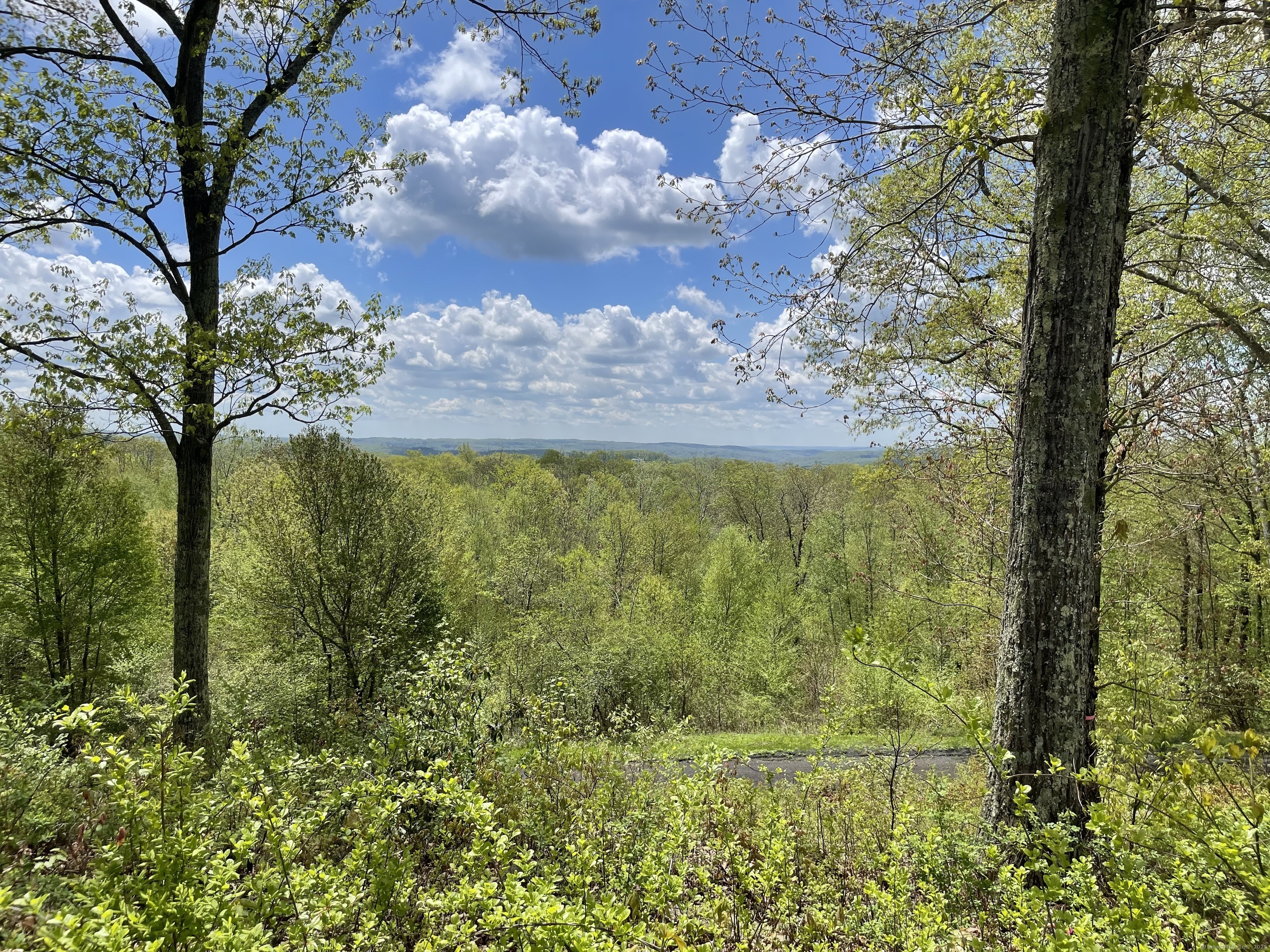 170 Rabbit Hill Road Warren, CT 06777 - Photo 4 of 28