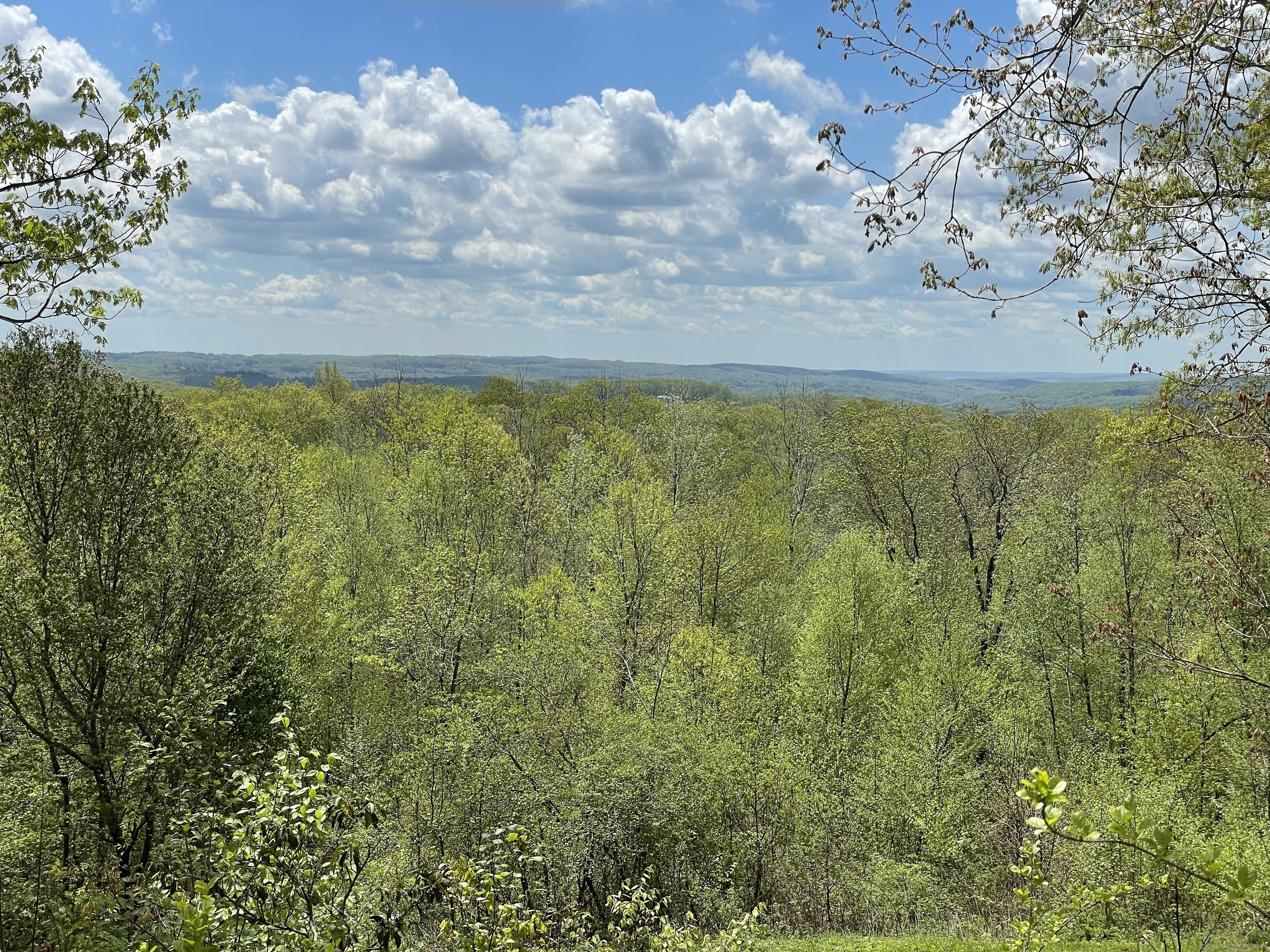 170 Rabbit Hill Road Warren, CT 06777 - Photo 5 of 28 a view of yard with green space