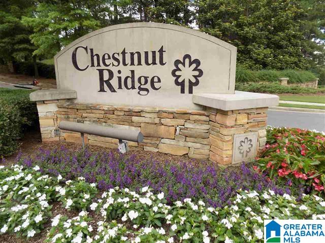 5679 Chestnut Trace Birmingham, AL 35244 - Photo 3 of 50