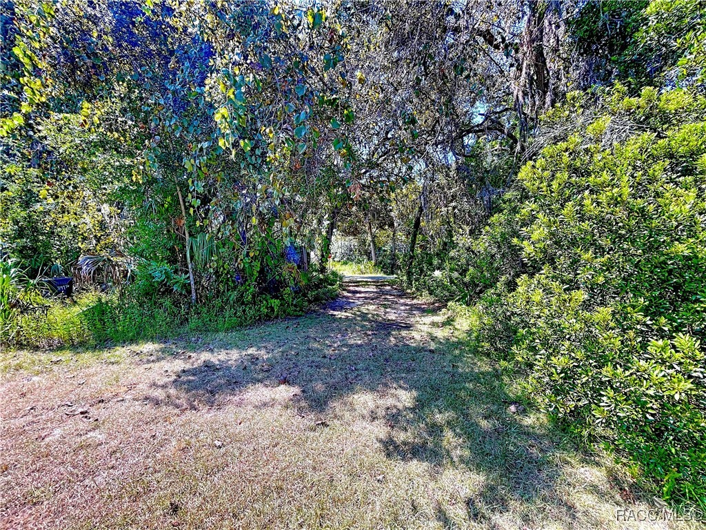 11236 North Rain Point Inglis, FL 34449 - Photo 50 of 71