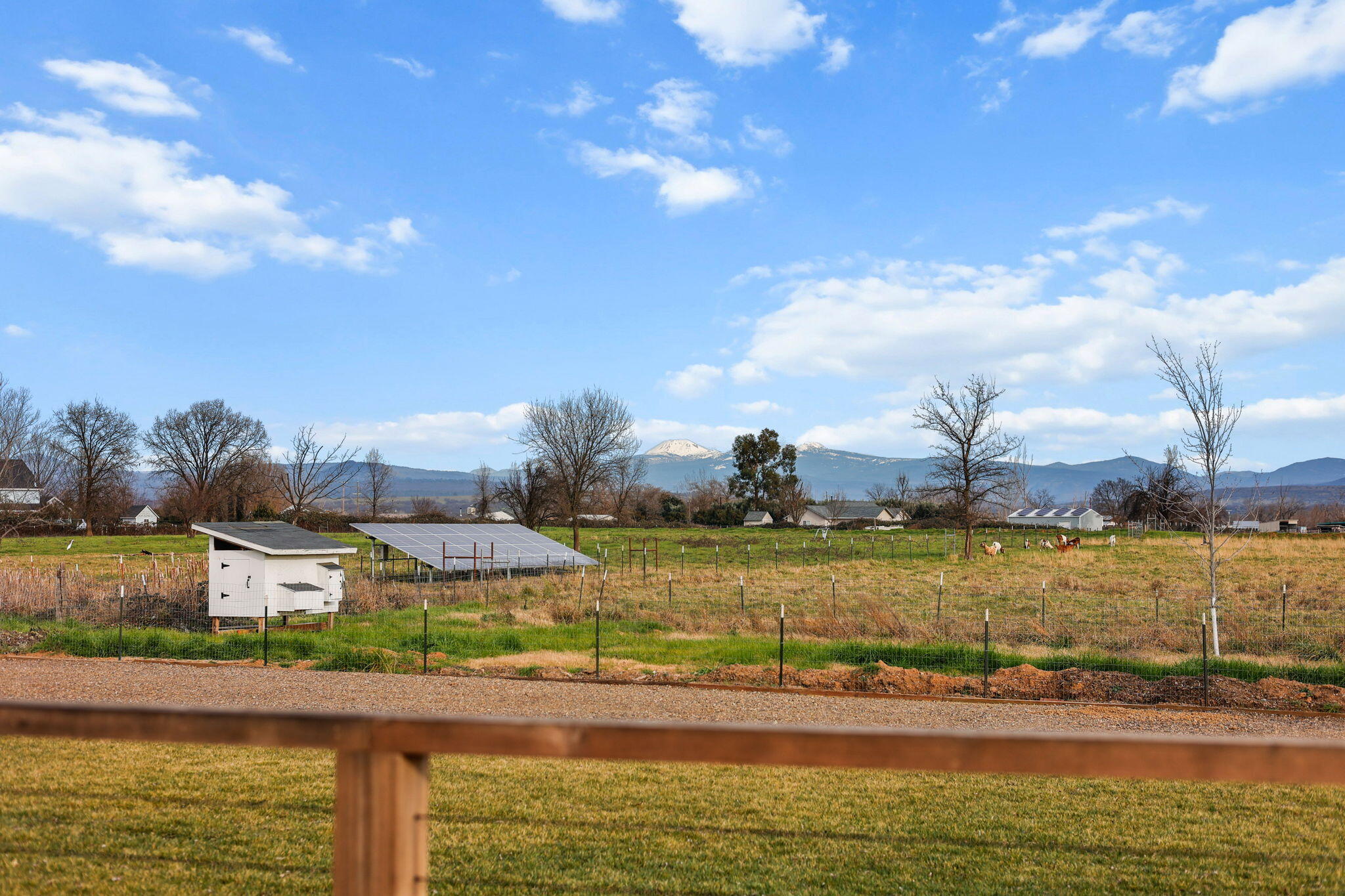 3803 Drybread Road Cottonwood, CA 96022 - Photo 6 of 49 13-web-or-mls-_K3A9217