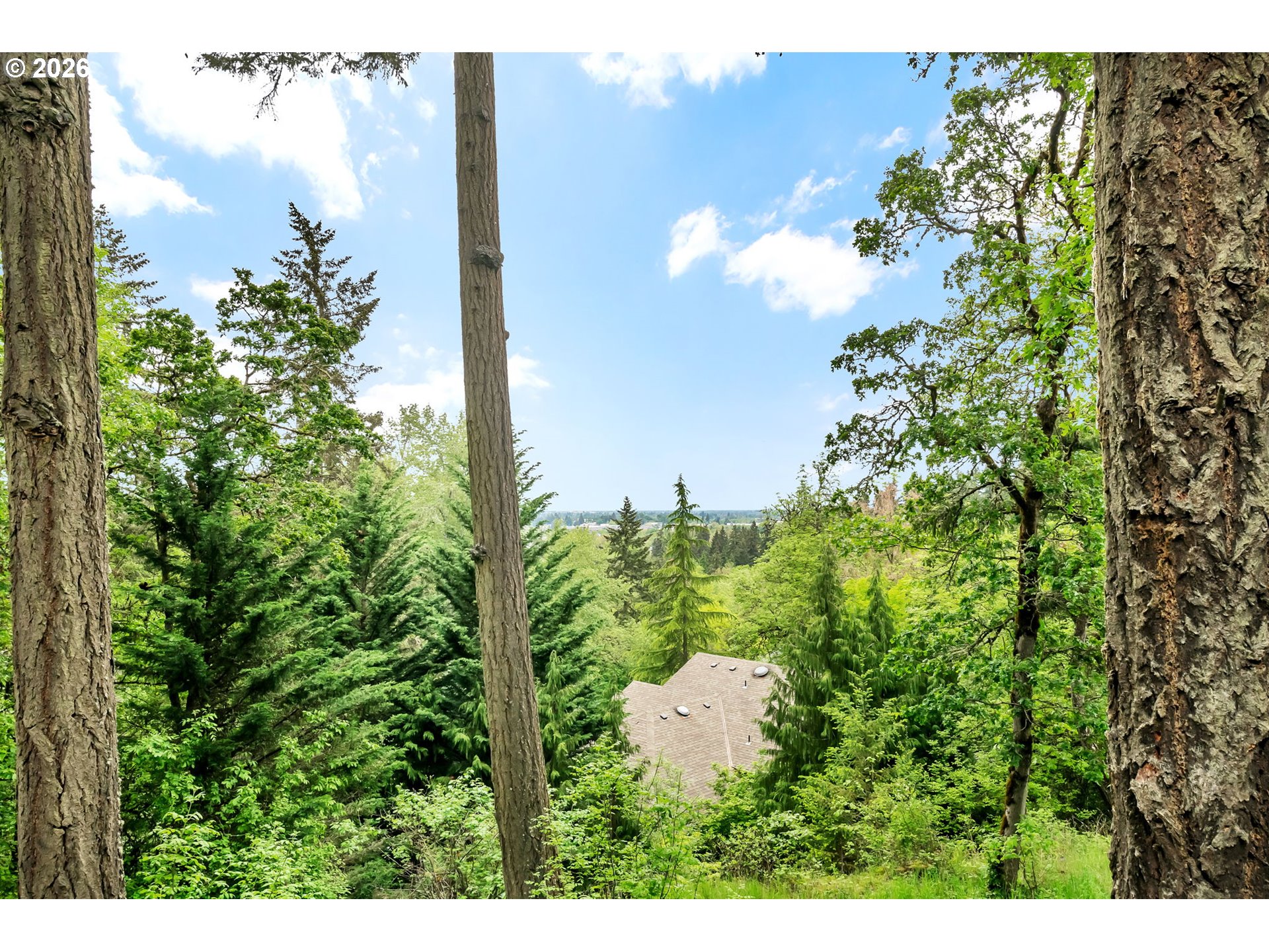 2877 Timberline Drive Eugene, OR 97405 - Photo 39 of 43