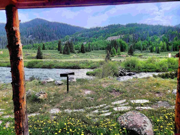 a view of a garden with a building in the background