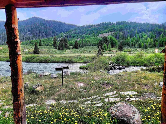 a view of a garden with a building in the background