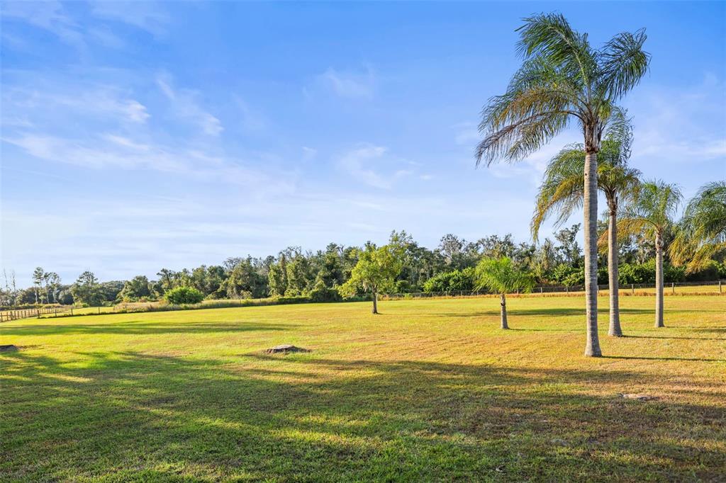 4503 North Rye Road Parrish, FL 34219 - Photo 56 of 68 a view of a swimming pool and an outdoor space