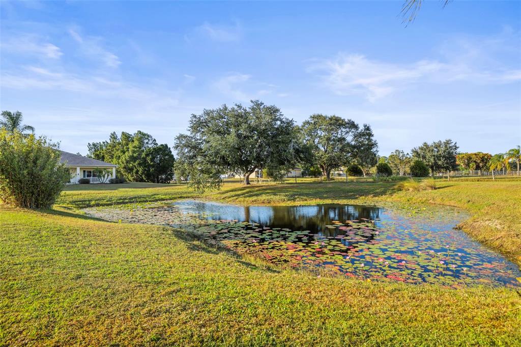 4503 North Rye Road Parrish, FL 34219 - Photo 68 of 68 a view of a swimming pool with an outdoor seating and a garden
