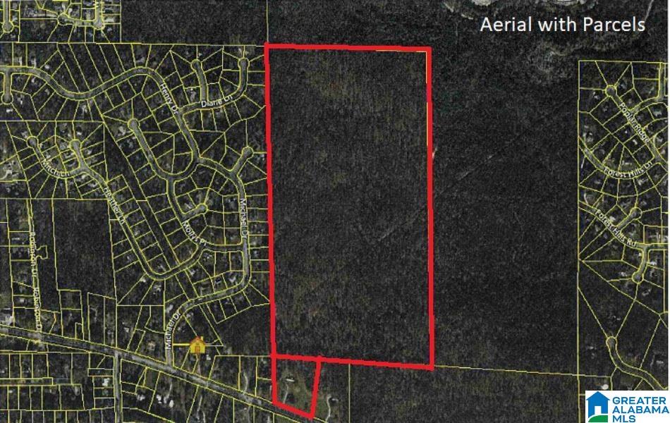 831 Smokey Road, Unit 1 Alabaster, AL 35007 - Photo 1 of 2