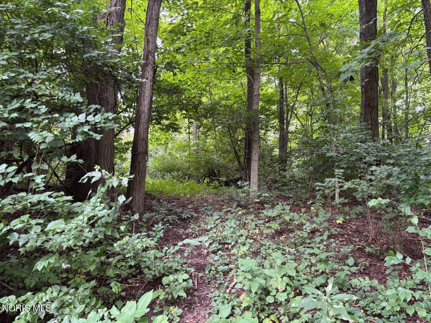 Evansport Road Defiance, OH 43512 - Photo 20 of 28 Gallery Image 20