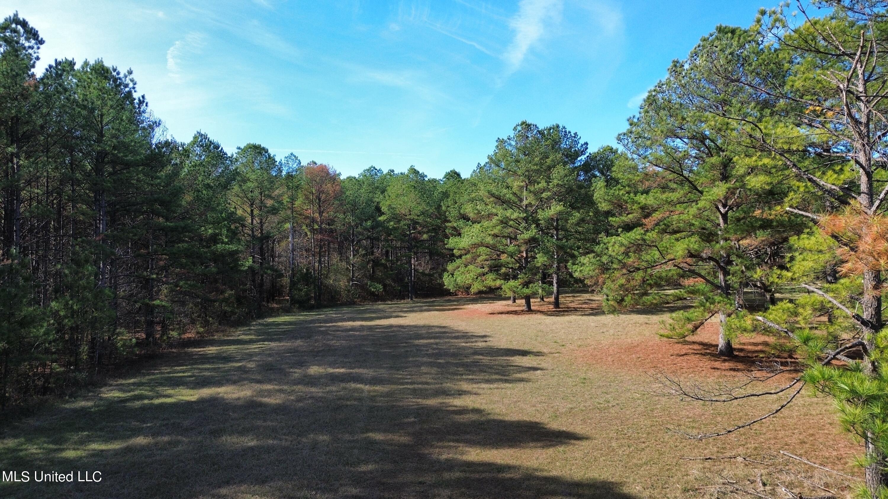 Melody Lane Brandon, MS 39047 - Photo 1 of 11 Property
