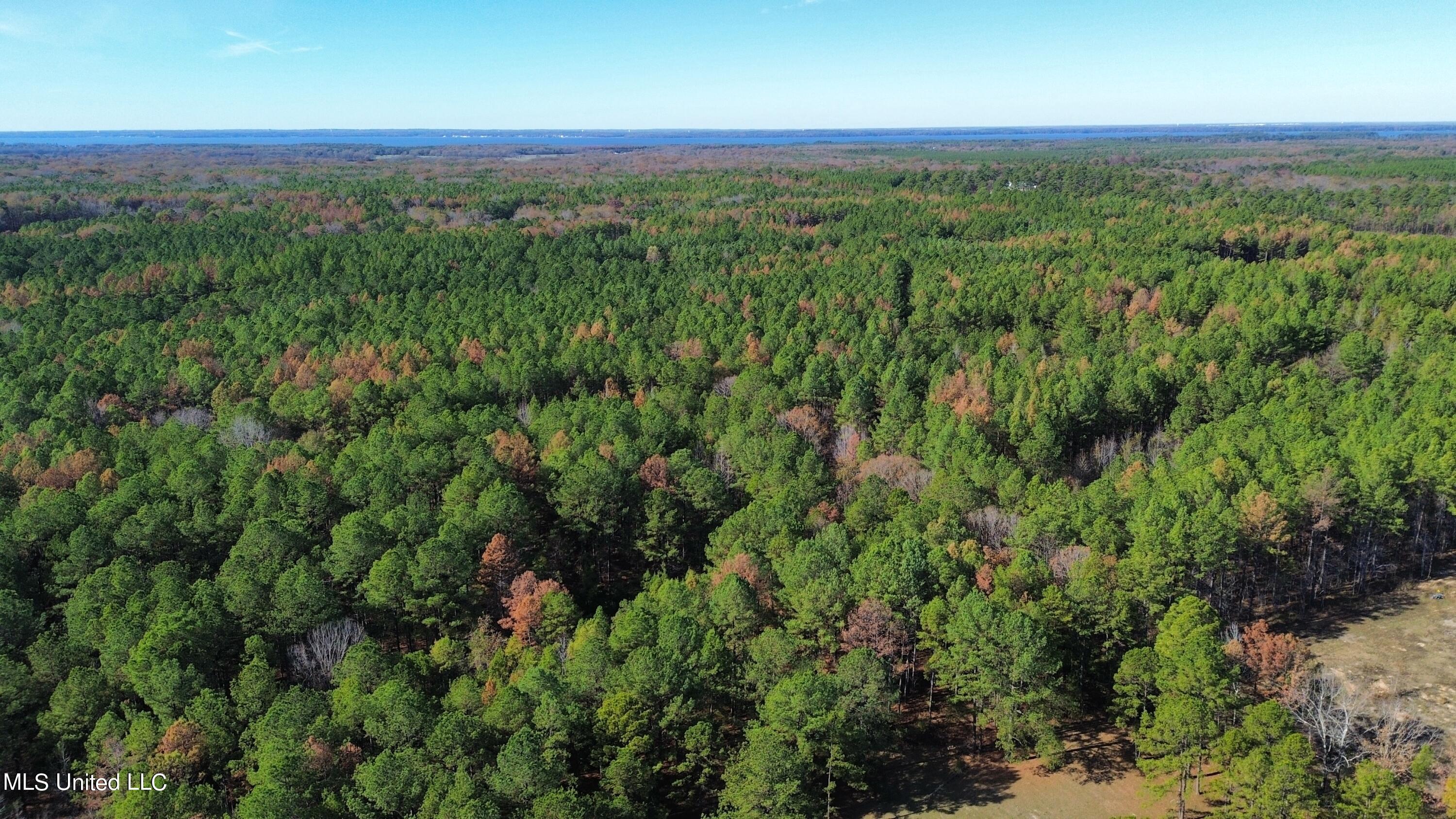 Melody Lane Brandon, MS 39047 - Photo 11 of 11 dji_fly_20231213_103202_400_170259840809