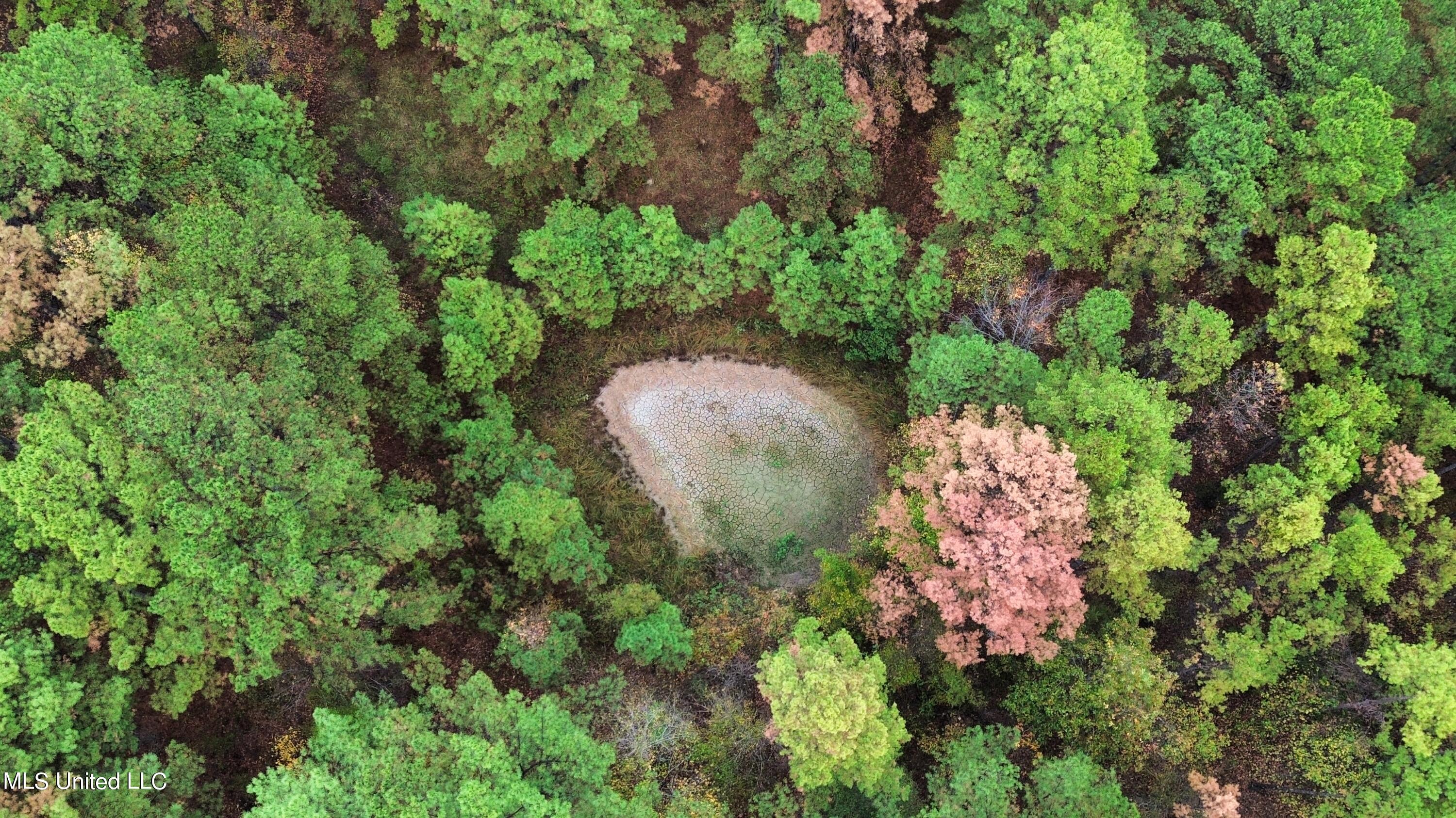 Melody Lane Brandon, MS 39047 - Photo 9 of 11 dji_fly_20231109_072040_331_170259844553