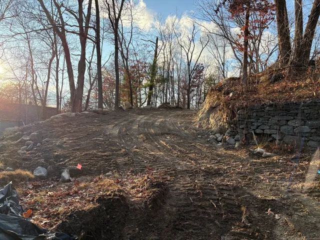 a view of a yard with trees