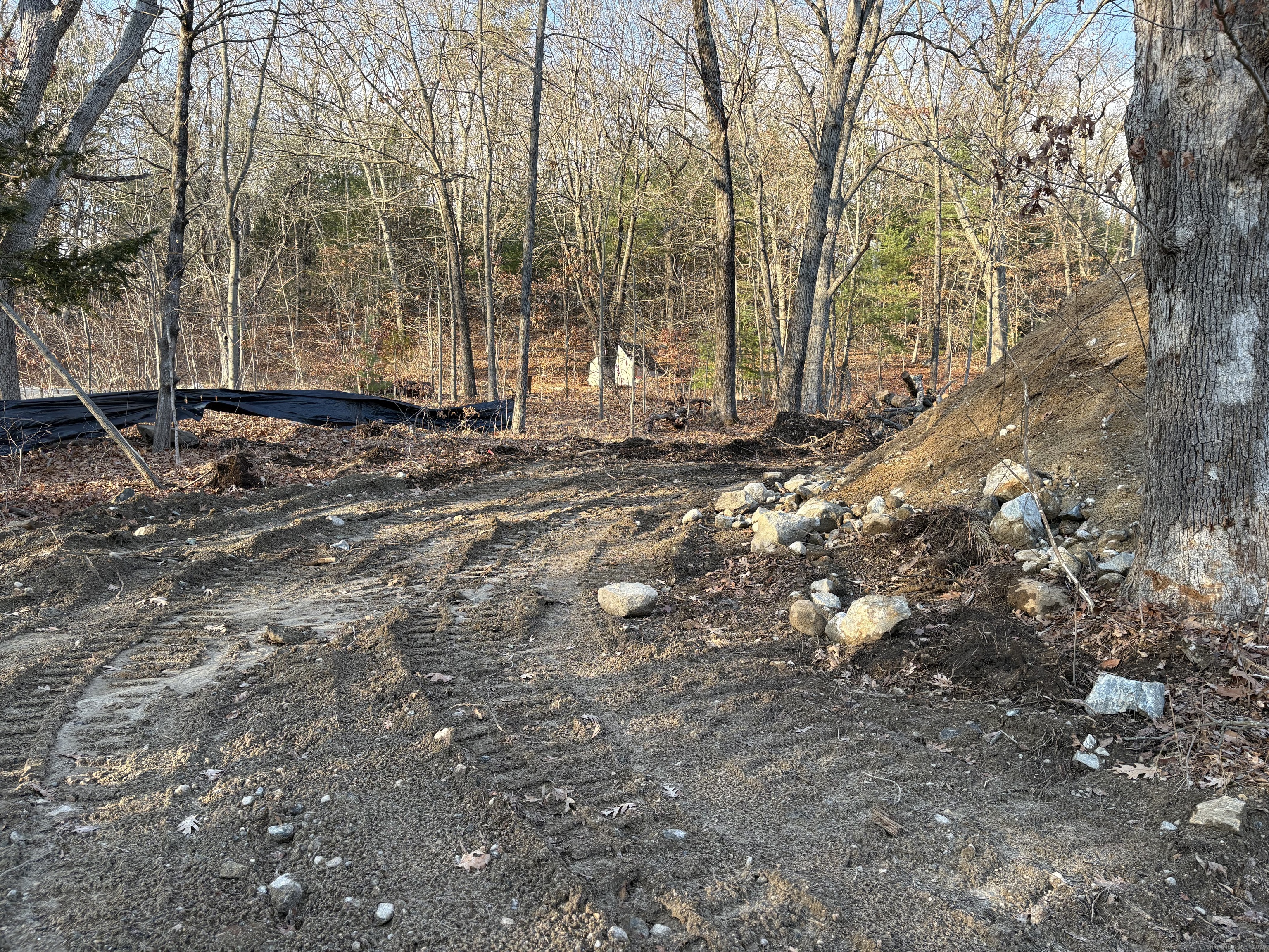 66 Bates Avenue Putnam, CT 06260 - Photo 17 of 18 a view of a yard with trees