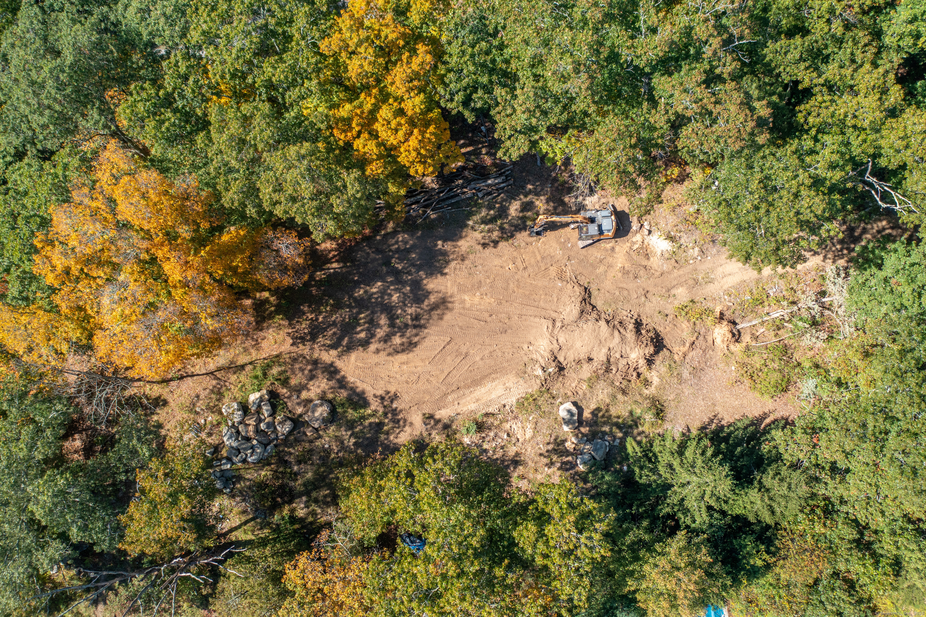 66 Bates Avenue Putnam, CT 06260 - Photo 2 of 18 a view of a tree