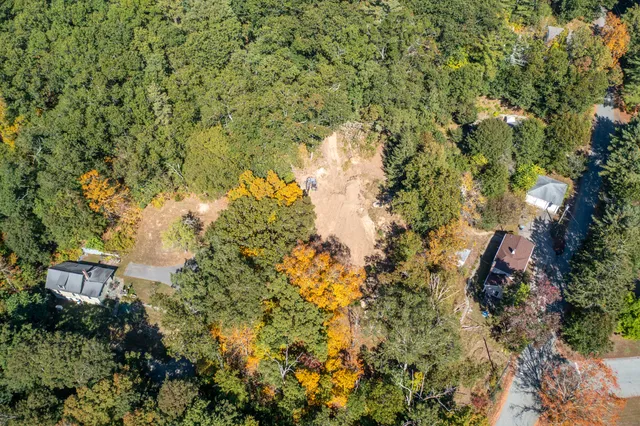 a view of a yard with a tree